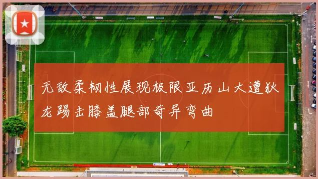 无敌柔韧性展现极限亚历山大遭狄龙踢击膝盖腿部奇异弯曲