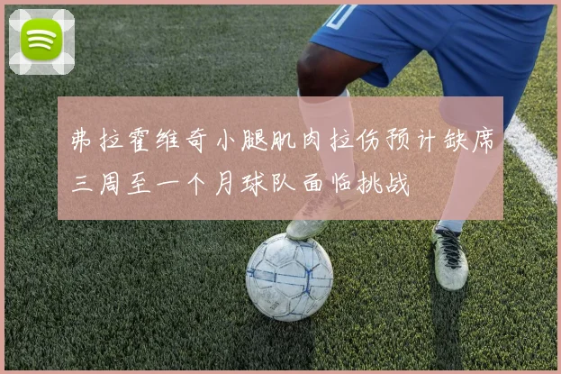 弗拉霍维奇小腿肌肉拉伤预计缺席三周至一个月球队面临挑战